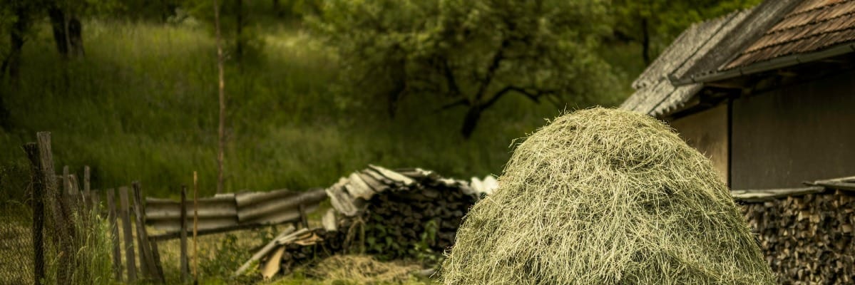 Heaps and stacks in Python